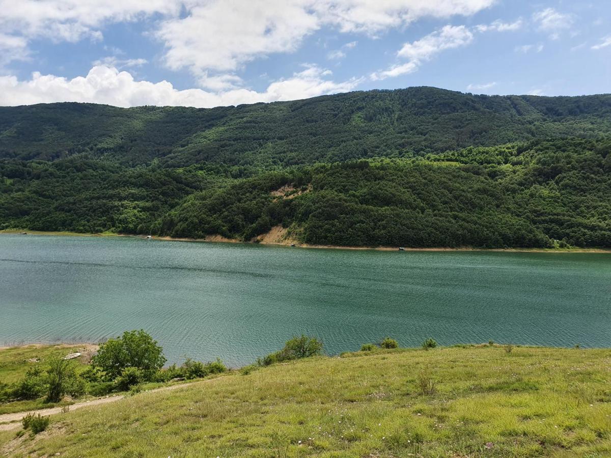 Zavojsko Jezero Pirot - Smestaj Manic Gostusa 外观 照片
